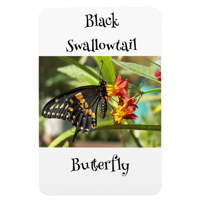 Black Frack Butterfly #2 Magnet (Vertikal)