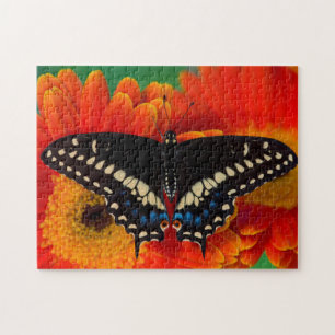 Black Frack Butterfly auf Gerberia Daisy Puzzle