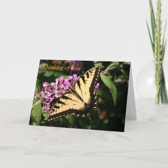 Black Frack Butterfly Card Karte (Vorderseite)