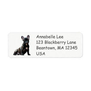 Black French Bulldog