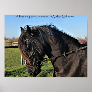 Black Friesian Horse berühmtes Pferdeziffer-Poster Poster