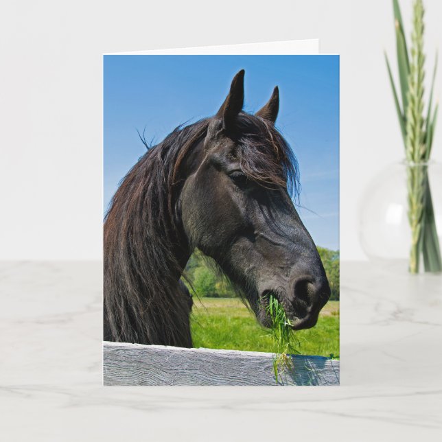 Black Friesian Horse Birthday Karte (Vorderseite)