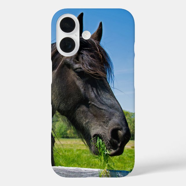 Black Friesian Horse Case-Mate iPhone Hülle (Rückseite)