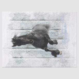 Black Friesian Horse Decoupage Seidenpapier
