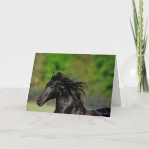 Black Friesian Horse Hallion Headshot Karte