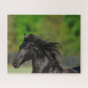 Black Friesian Horse Hallion Headshot Puzzle
