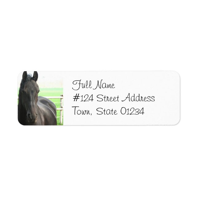 Black Friesian Horse Return Address Label (Vorne)