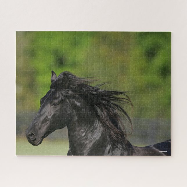 Black Friesian Horse Stallion Headshot Puzzle (Horizontal)