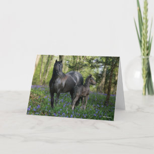 Black Friesian Mare and Foal in Bluebells Karte