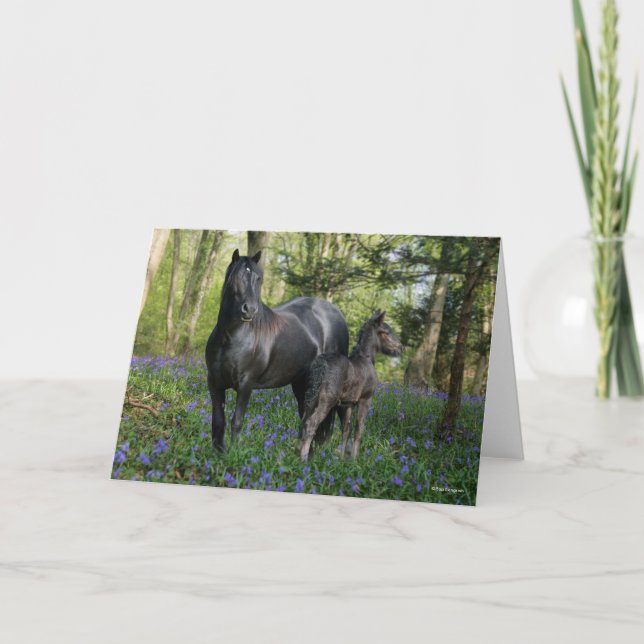 Black Friesian Mare and Foal in Bluebells Karte (Vorderseite)