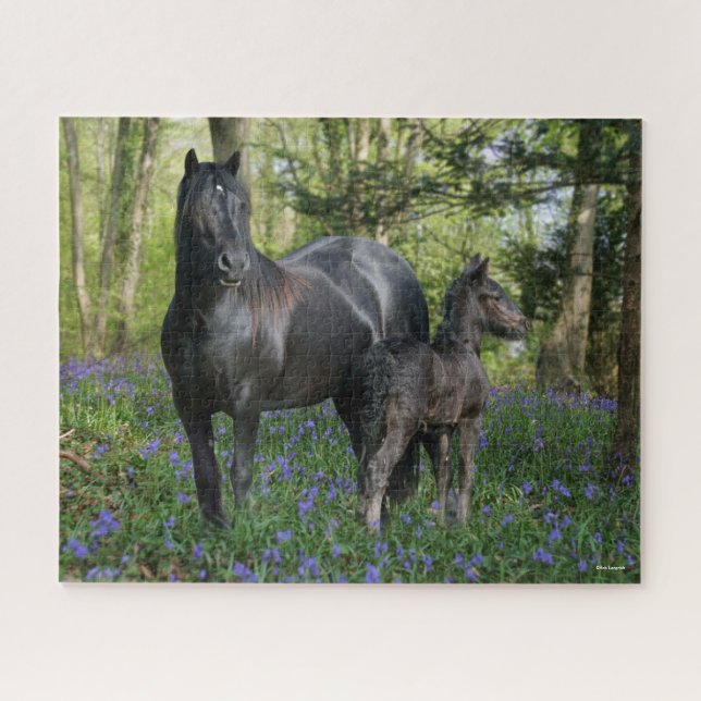 Black Friesian Mare and Foal in Bluebells Puzzle (Horizontal)