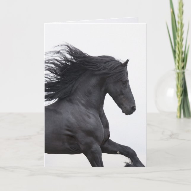 Black Friesian Runs Horns Greeting Card Karte (Vorderseite)