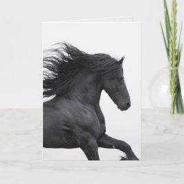Black Friesian Runs Horns Greeting Card Karte