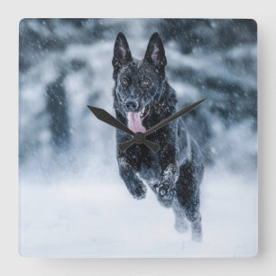 Black German Shepherd in snow Duvet Cover Quadratische Wanduhr