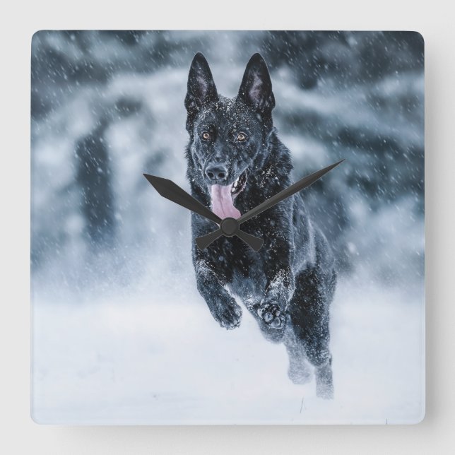 Black German Shepherd in snow Duvet Cover Quadratische Wanduhr (Vorderseite)