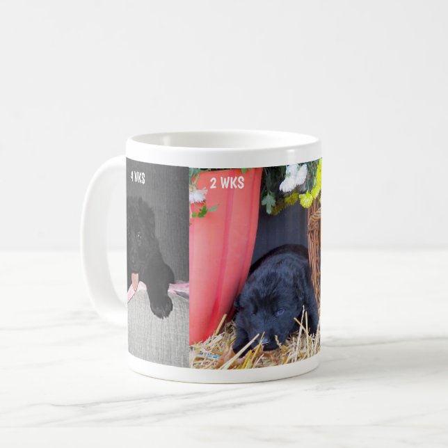 Black German Shepherd Puppy 2 bis 4 Wochen alt, ZK Kaffeetasse (Vorderseite Links)
