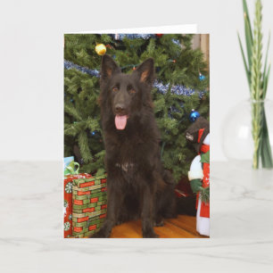 Black German Shepherd Weihnachtskarte Feiertagskarte