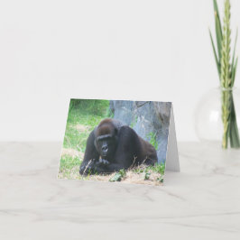 Black Gorilla also, wie geht es dir?