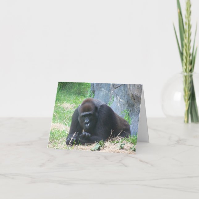 Black Gorilla also, wie geht es dir? (Vorderseite)