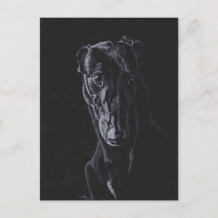 Black Greyhound Hund Art Postkarte