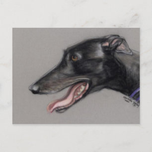Black Greyhound Original Hund Postkarte