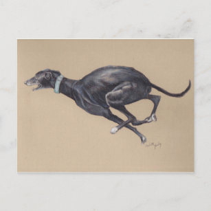 Black Greyhound Running Hund Art Postkarte