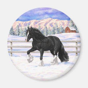 Black Gypsy Vanner Irish Cob Draft Horse in Snow Magnet