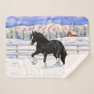 Black Gypsy Vanner Irish Cob Draft Horse in Snow Sherpadecke