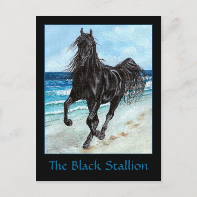 Black Hallion arabisches Pferd Postkarte (Vorderseite)