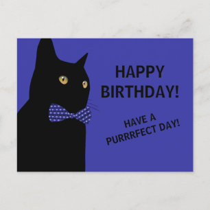 Black Happy Birthday Cat mit einer Blue Bow-Krawat Postkarte