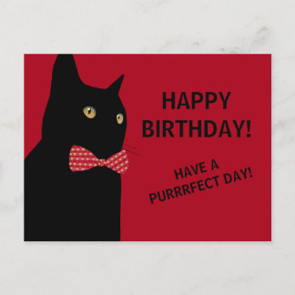 Black Happy Birthday Cat mit einer Red Bow Krawatt Postkarte