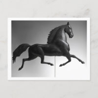Black Hawk Weathervane