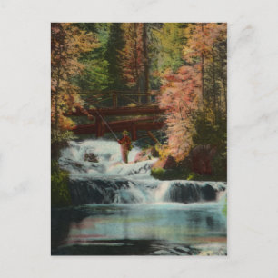 Black Hills Fisherman Vintag Postcard Postkarte