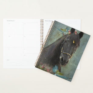 Black Horse Friesian Horse - Kalender, Planer