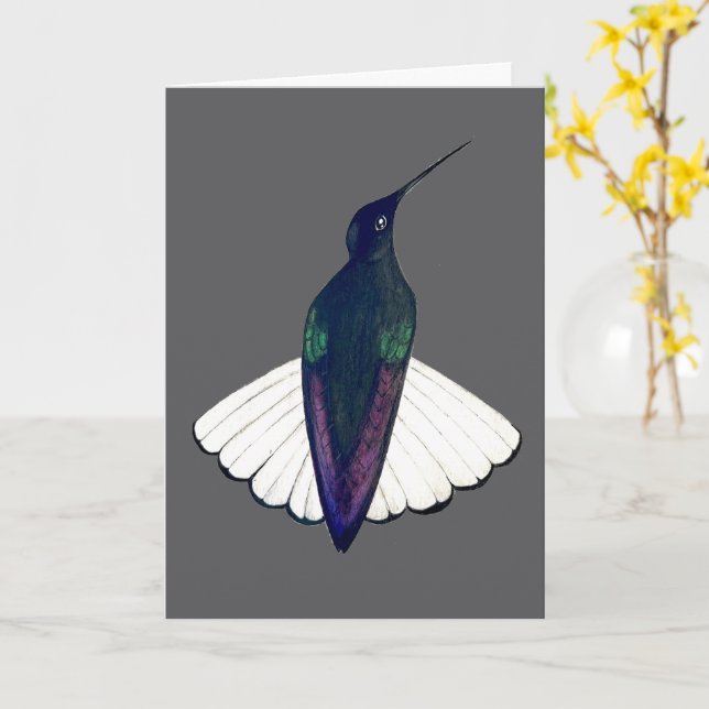 Black Jacobin Hummingbird  Karte (Gelbe Blume)
