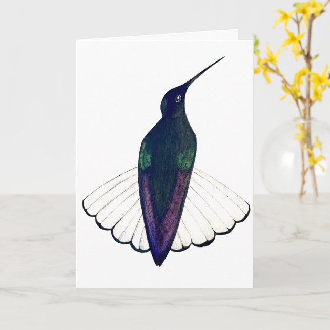 Black Jacobin Hummingbird  Karte (Gelbe Blume)