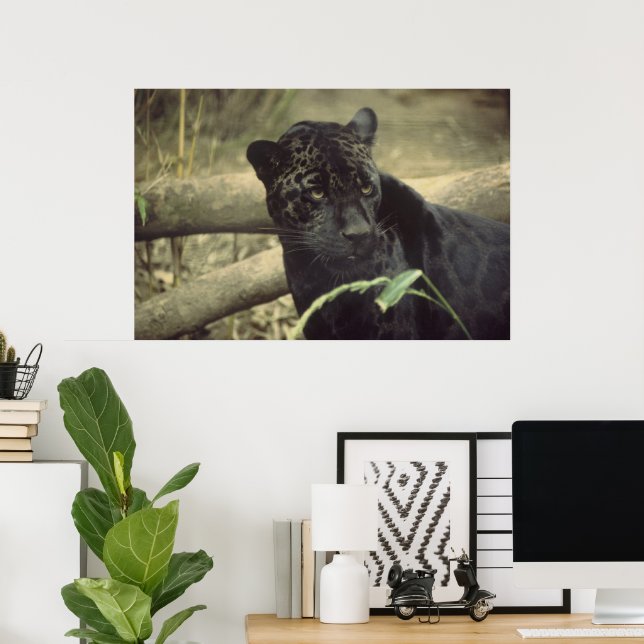 Black_Jaguar Art Poster (Heimbüro)
