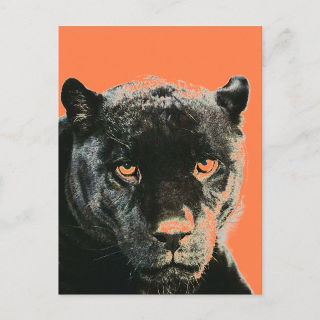 Black Jaguar Panther Postcard Postkarte (Vorderseite)