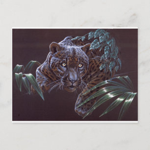 Black Jaguar Postkarte