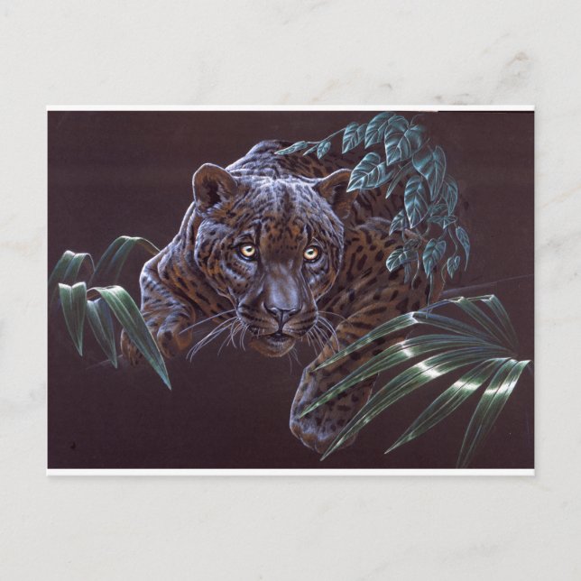 Black Jaguar Postkarte (Vorderseite)