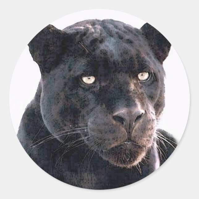 Black Jaguar Runder Aufkleber (Vorderseite)