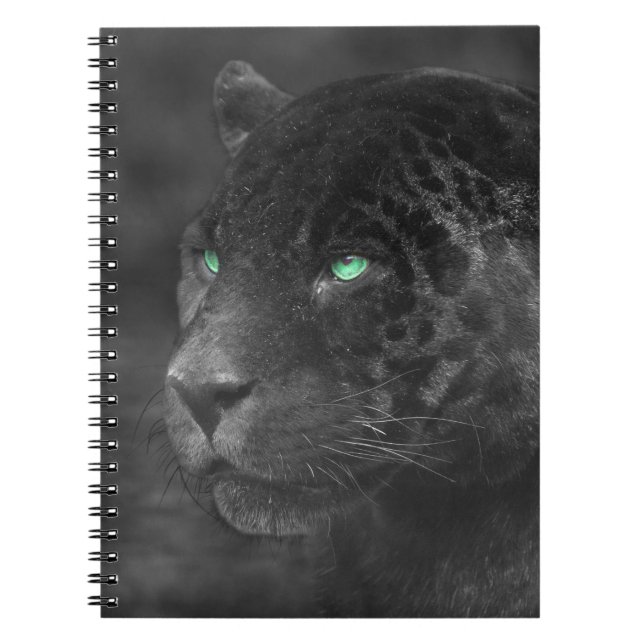 Black Jaguars Emerald Gaze Notizblock (Vorderseite)