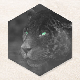 Black Jaguars Emerald Gaze Untersetzer