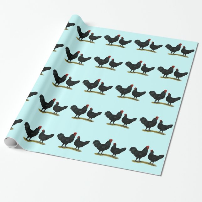 Black Java Chickens Geschenkpapier (Ungerollt)