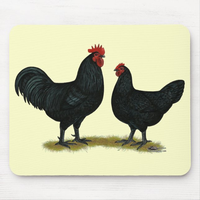 Black Java Chickens Mousepad (Vorne)