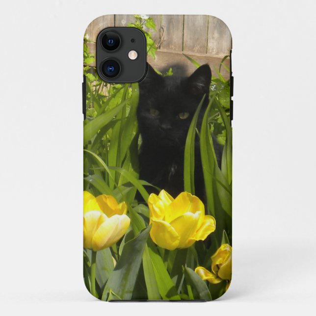 Black Kitten, Gelbe Tulpen. iPhone 5 Gehäuse Case-Mate iPhone Hülle (Rückseite)