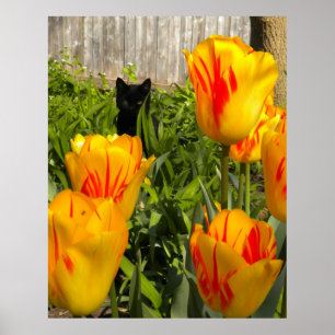 Black Kitten in Tulips Poster