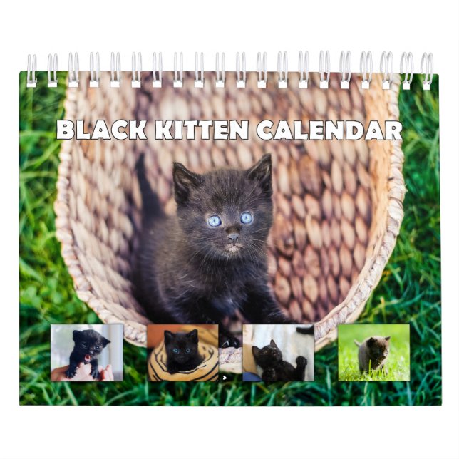 Black Kitten Kalender (Titelbild)