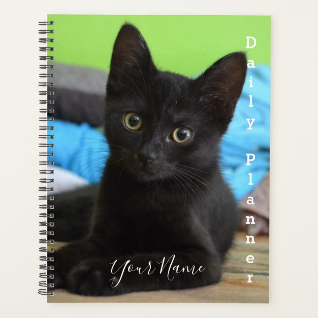 Black Kitten - Täglicher Planer - HAMbWG (Vorderseite)