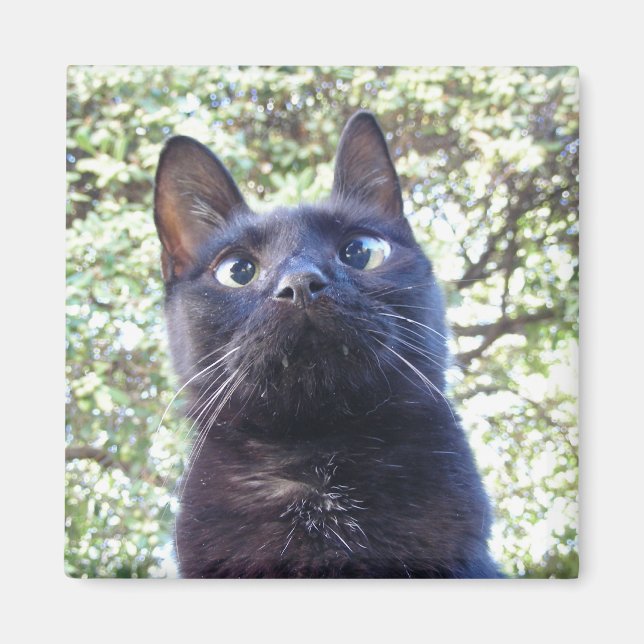 Black Kitty Cat Magnet (Vorne)